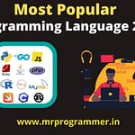 Most Popular Programming Language 2022