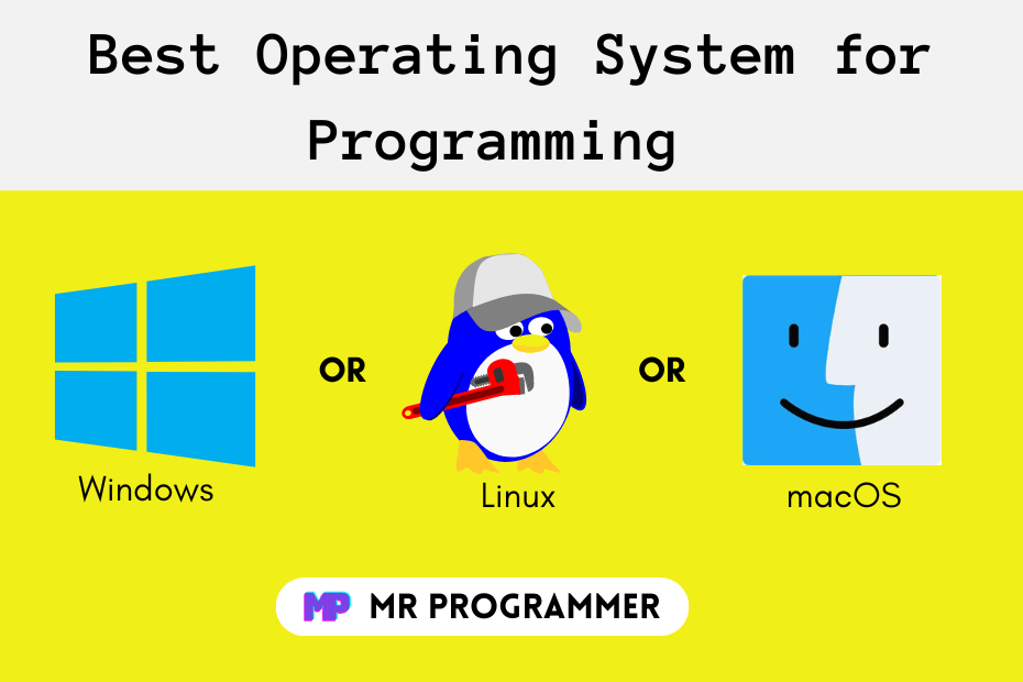 Best Operating System for Programming